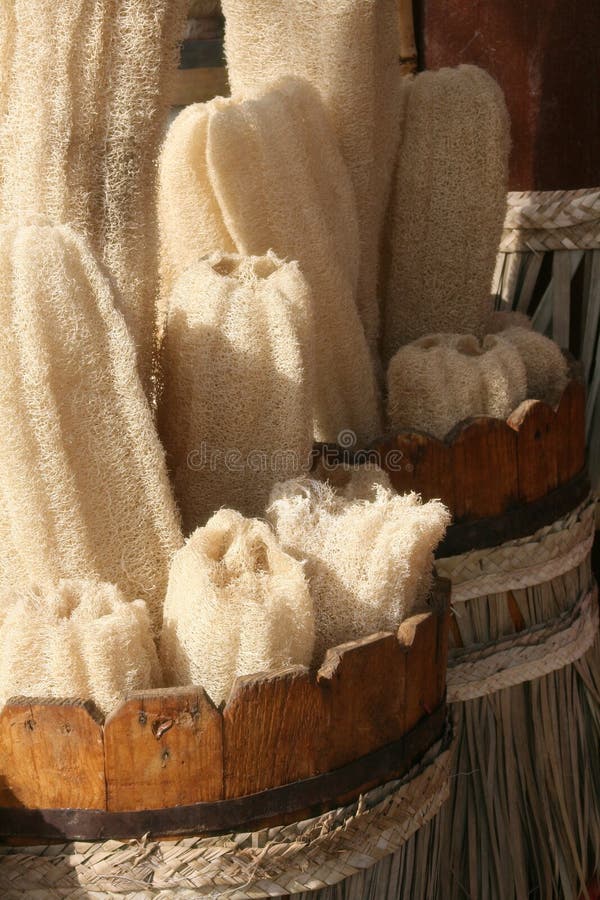 Natural bath sponge. Egypt