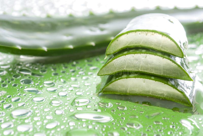 Natural beauty products and plant based clinical treatment concept with macro close up on an aloe vera plant leaf and gel isolated