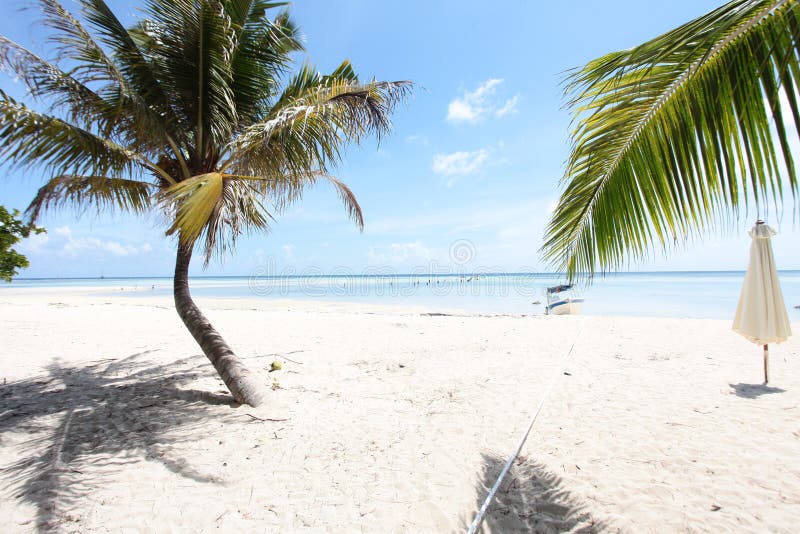 Natural is Better Than Ever Stock Image Image of traveller, mountain 127488307