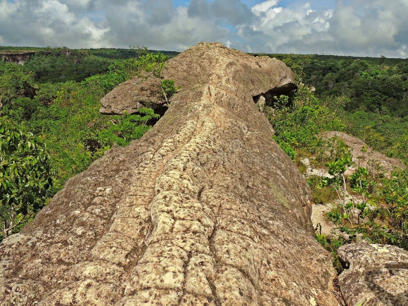 Natural Stone Bridge in the Forest Stock Image Image of forest