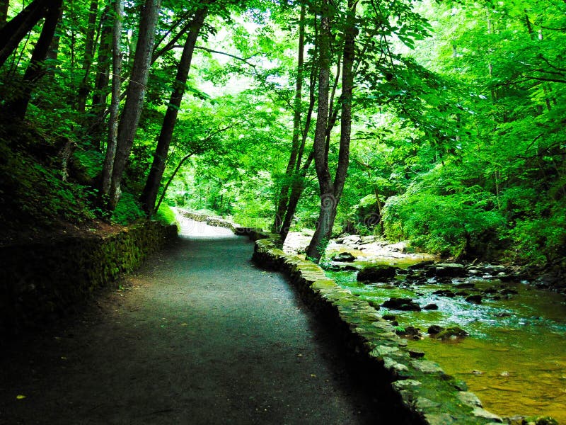 Natural Bridge Path stock image. Image of flowing, landscape 95320703