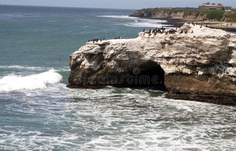 Natural Bridges State Beach Santa Cruz stock photo Natural Bridges State Beach Santa Cruz stock photo