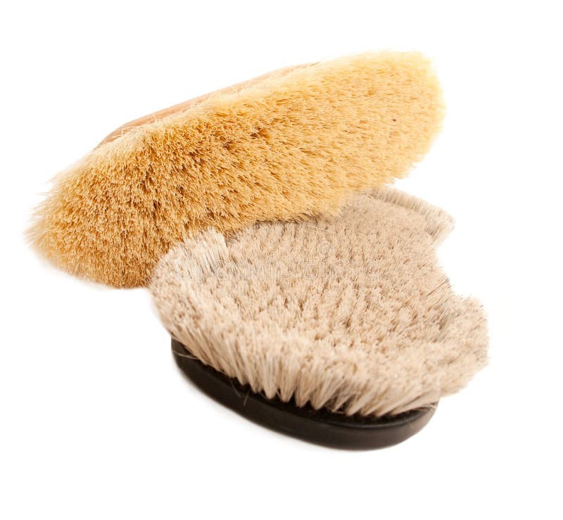 Natural Bristles Brushes for Grooming Horse Stock Image Image of