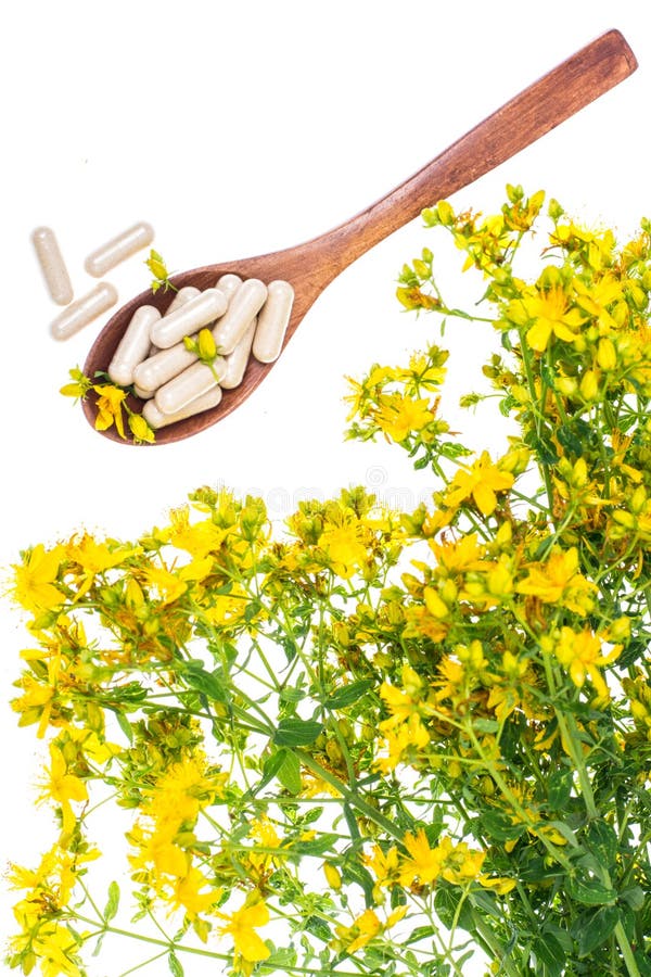 Natural Capsules from St. John`s Wort Stock Image Image of herbal