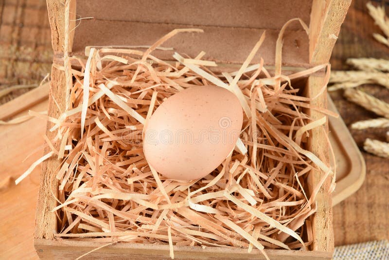 Natural Chicken Egg on the Wooden Table, Rustic Freerange Chicken