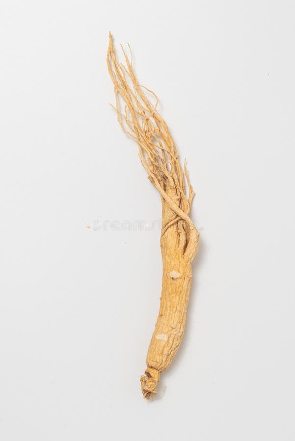 Chinese ginseng stock photo. Image of herb, alternative 1596734