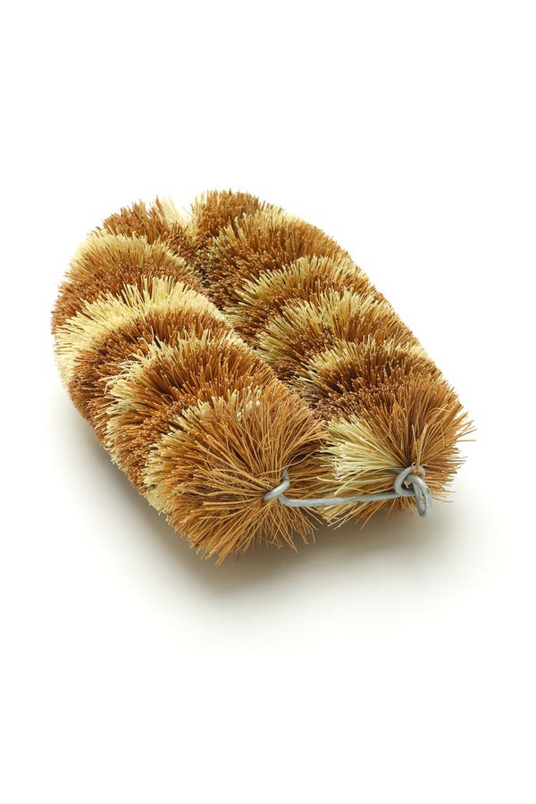 Natural Coconut Fiber Brush Stock Photo Image of cutout, oriental