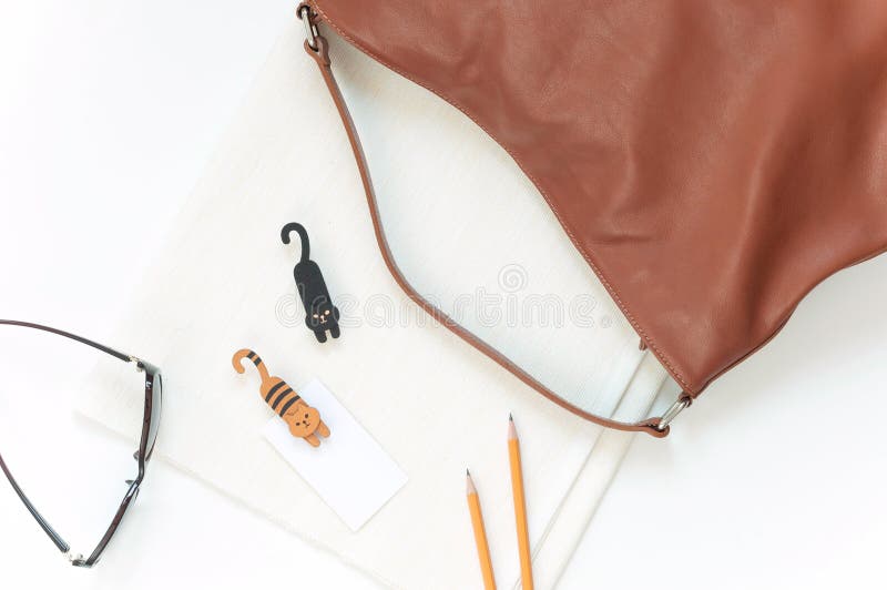 Natural color elegant flat lay with cats stock image