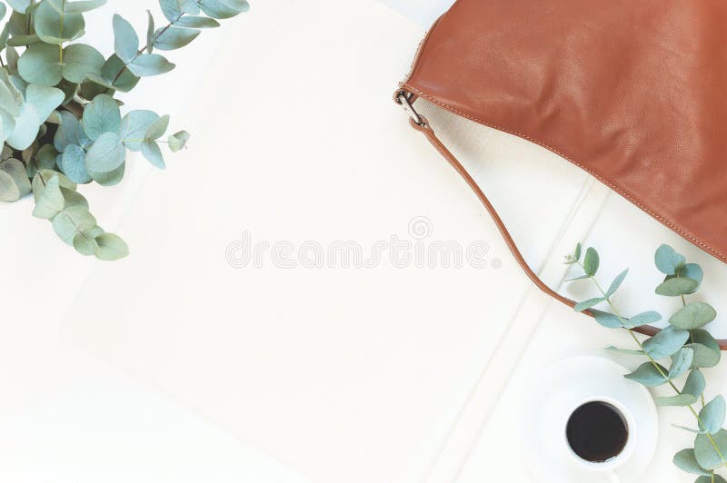 Natural color elegant flat lay royalty free stock image