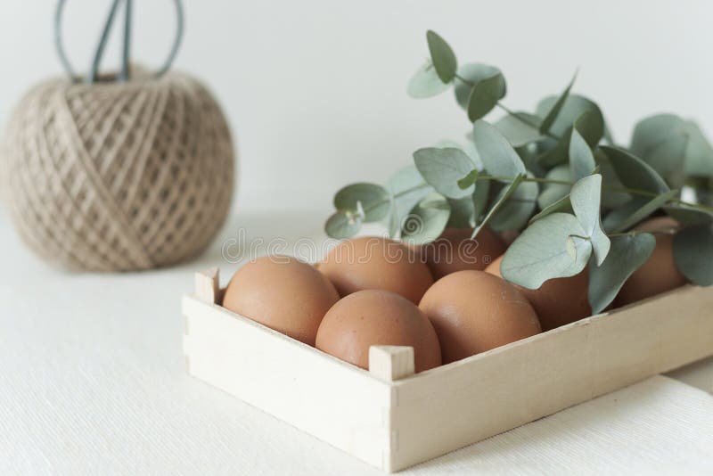 Natural color elegant flat lay stock image