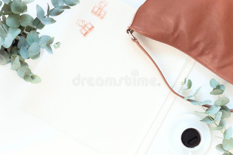 Natural color elegant flat lay stock image