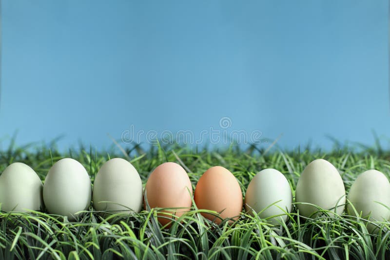 Natural Colored Easter in Grass Stock Image Image of celebration