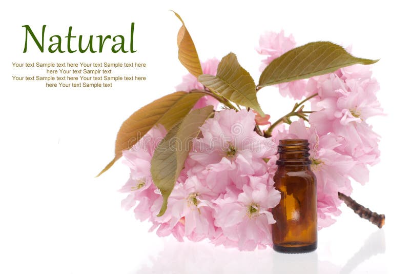 Natural cosmetics, remedies royalty free stock photos Natural cosmetics, remedies royalty free stock photos