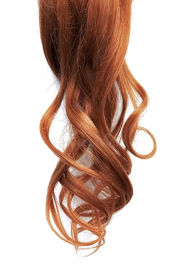 Natural Curly Henna Hair Isolated on White Background Stock Image - Image of extension, ponytail: 137181293 Natural Curly Henna Hair Isolated on White Background Stock Image - Image of extension, ponytail: 137181293