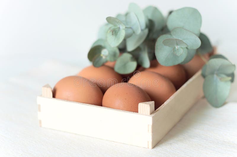 Natural Easter composition with eucalyptus stock images