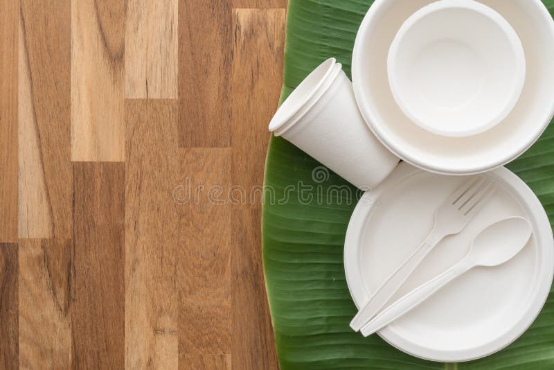 Natural eco-friendly disposable utensils fork, spoon, dish plate, bowl and cup made of fiber of bagasse and bamboo