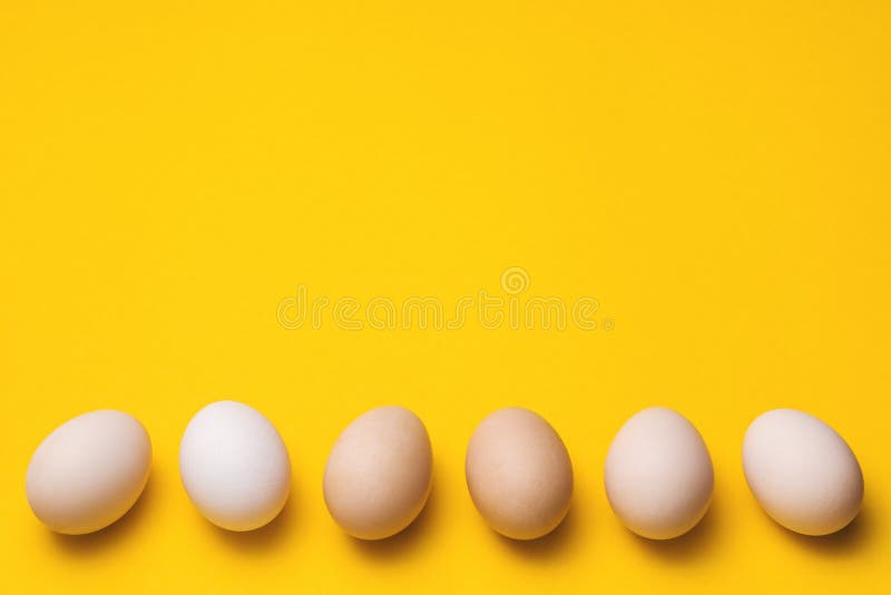 Natural Ecological Eggs on Yellow Background in a Row with Copyspace