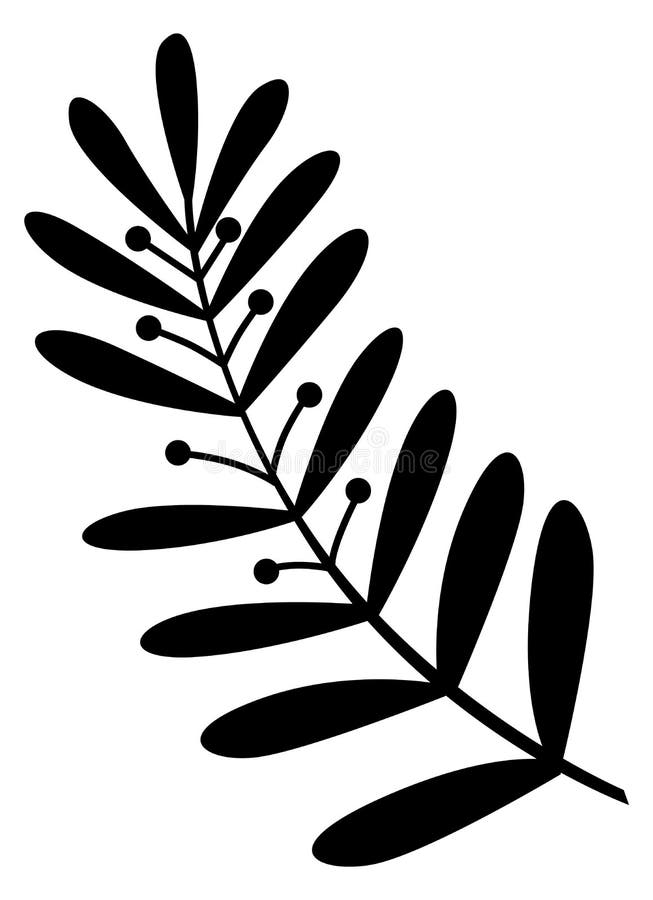 Natural floral element. Decorative black plant branch