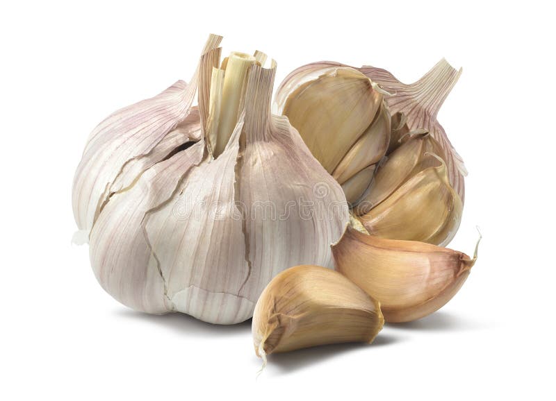 Natural garlic isolated on white background stock image