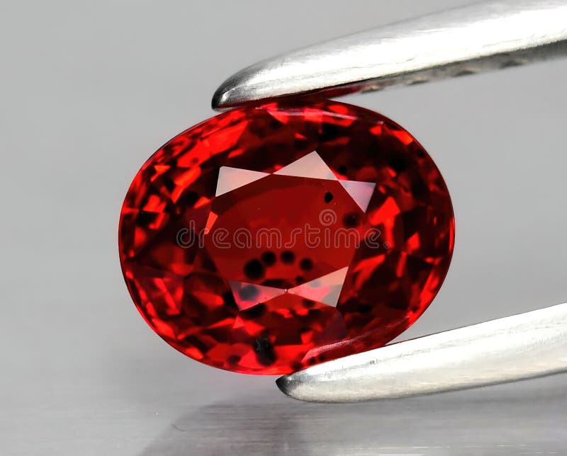 Natural gemstone red ruby in tongs on a gray background stock image