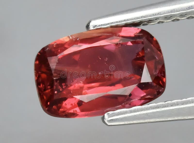 Natural gemstone red sapphire in tweezers on a gray background royalty free stock photos