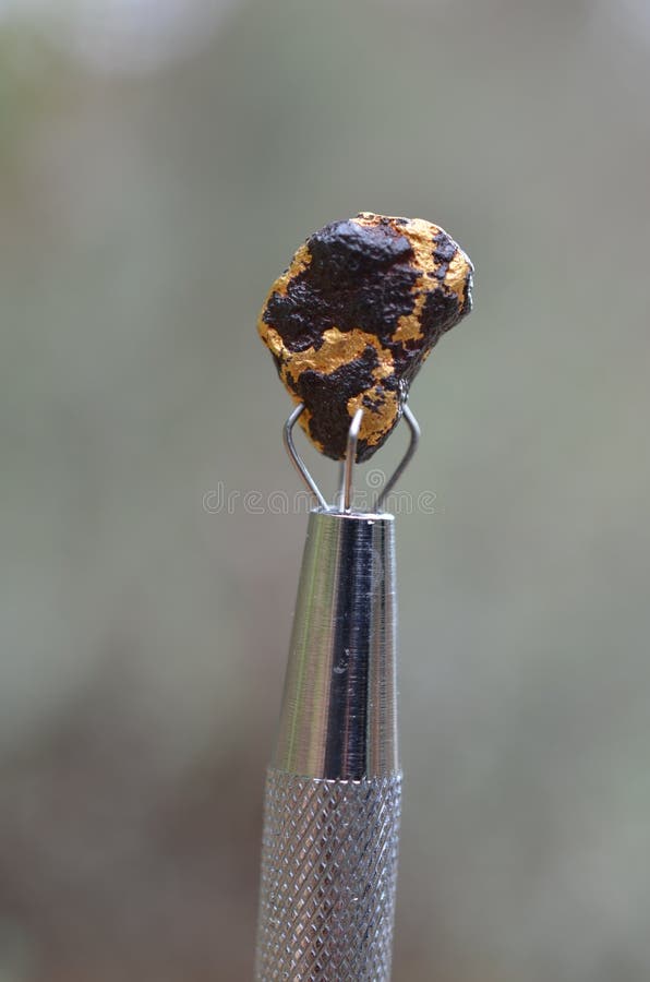 Natural gold nugget stock photos