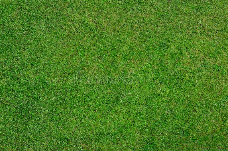 Natural grass