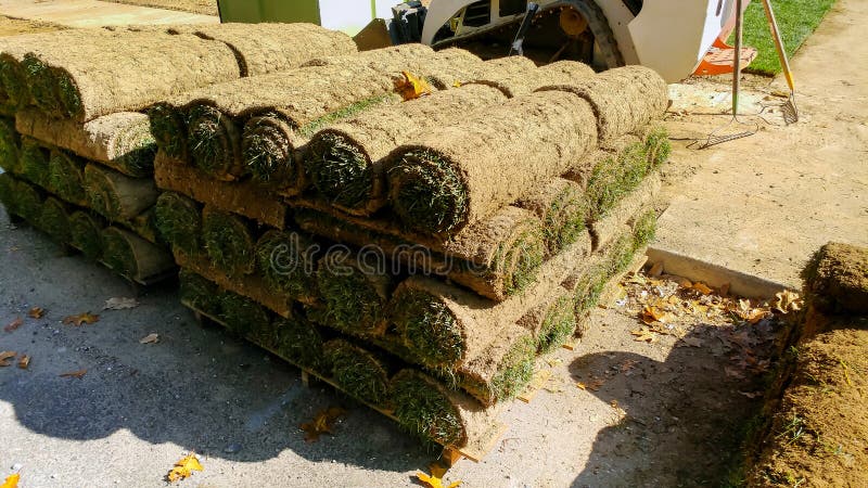 stacks of sod rolls for new lawn royalty free stock photography stacks of sod rolls for new lawn royalty free stock photography