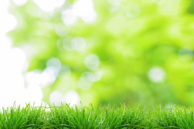 Nếu bạn yêu thích thiên nhiên và tìm kiếm một hình nền tuyệt đẹp, thì hãy không bỏ lỡ ảnh khoảng cảnh cỏ với nền xanh lá cây tuyệt đẹp này. Mỗi chi tiết về tiêu điểm đã được chọn lựa cẩn thận để mang lại cho bạn một trải nghiệm xem hình nền đầy tuyệt vời!