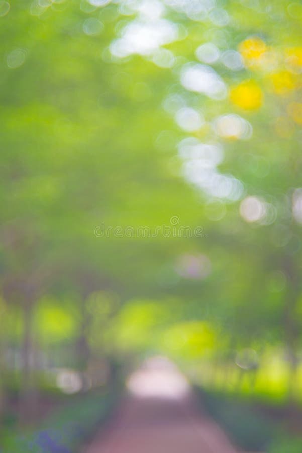 Natural Green Blur Background in Sunlight ,Abstract Round Bokeh from Green  Leaves, Blurred Background Stock Photo - Image of beauty, circular:  122819040
