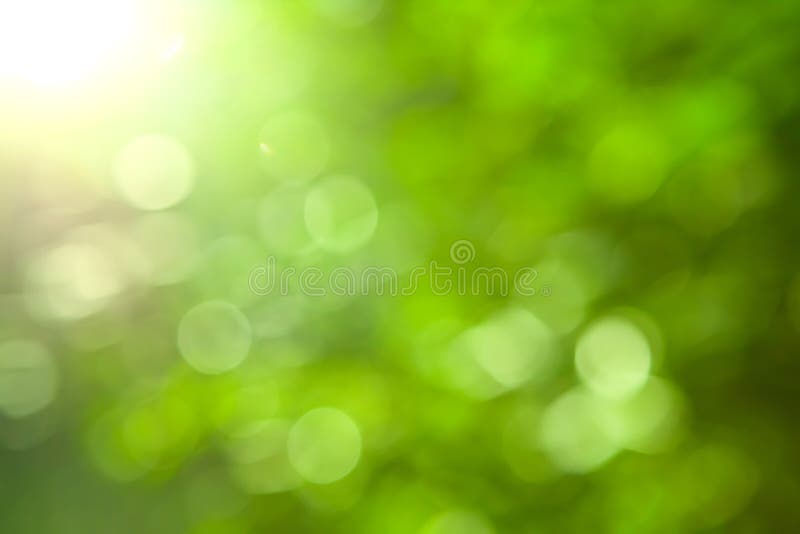 Natural Green Blurred Background Stock Image - Image of lush, foliage:  30641087