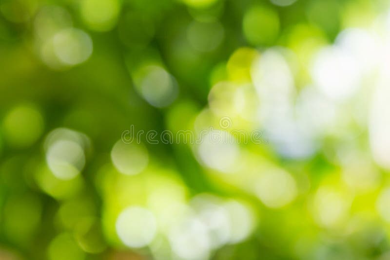 Natural green Bokeh background,Abstract backgrounds.