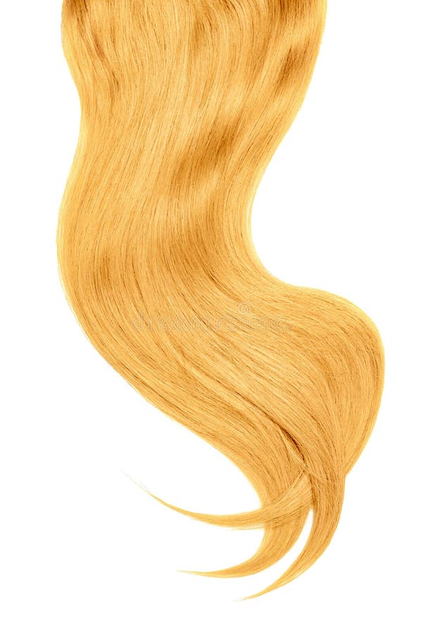 Curl of natural blond hair on white background. Wavy ponytail stock photography Curl of natural blond hair on white background. Wavy ponytail stock photography