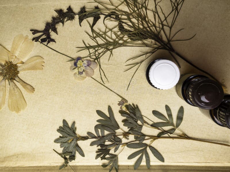 Natural herbal medicine with fresh herbs and flowers, aromatherapy essential oils on paper background stock photos Natural herbal medicine with fresh herbs and flowers, aromatherapy essential oils on paper background stock photos