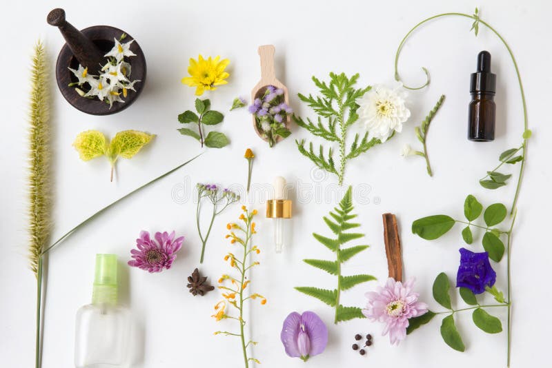 Natural herbal medicine selection with fresh herbs and flowers from the garden in wooden bowls