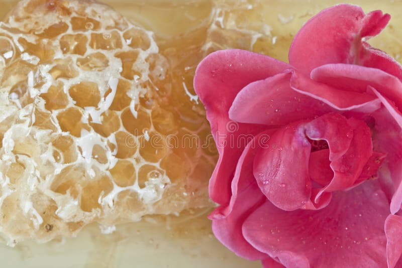 Natural honey stock images