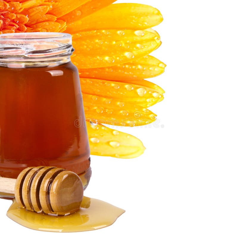 Natural honey royalty free stock photography