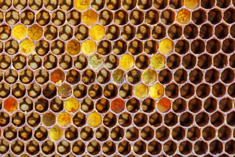 Natural texture stock image. Image of geometric 108331823