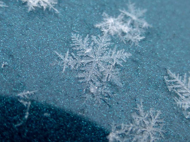Snowflake Real Natural Huge on a Green Background Stock Photo - Image of green, christmas: 106169556 Snowflake Real Natural Huge on a Green Background Stock Photo - Image of green, christmas: 106169556