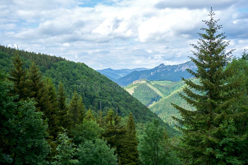 Natural landscape in the foothills of the High Tatras in the north of Slovakia in early summer with wide valleys and green meadows