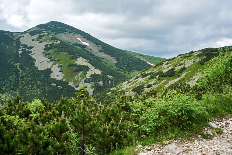 Natural landscape in the foothills of the High Tatras in the north of Slovakia in early summer with wide valleys and green meadows