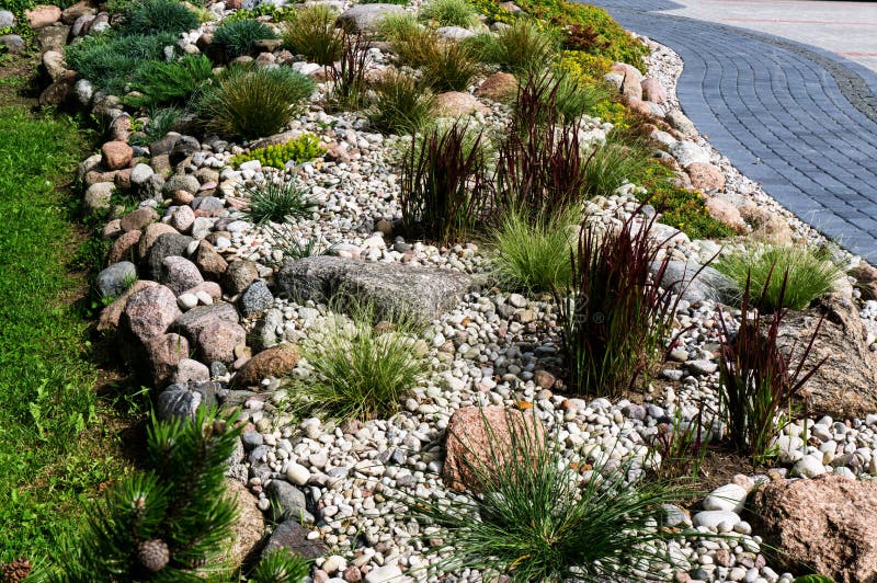 Natural landscaping in home garden royalty free stock photo Natural landscaping in home garden royalty free stock photo