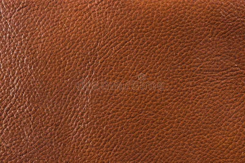 Natural leather texture stock photo. Image of cowhide 5179834