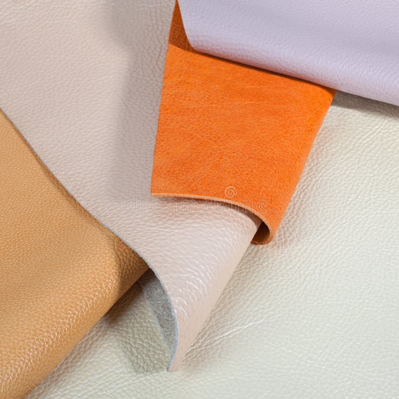 Natural Leather Textures Samples Stock Image Image of elegant