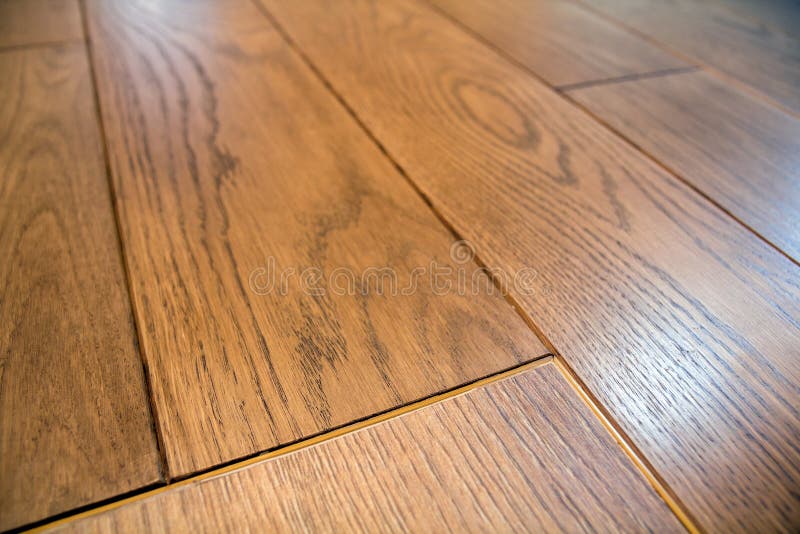 Natural light brown wooden parquet floor boards. Sunny soft yellow texture, copy space perspective background royalty free stock photos Natural light brown wooden parquet floor boards. Sunny soft yellow texture, copy space perspective background royalty free stock photos