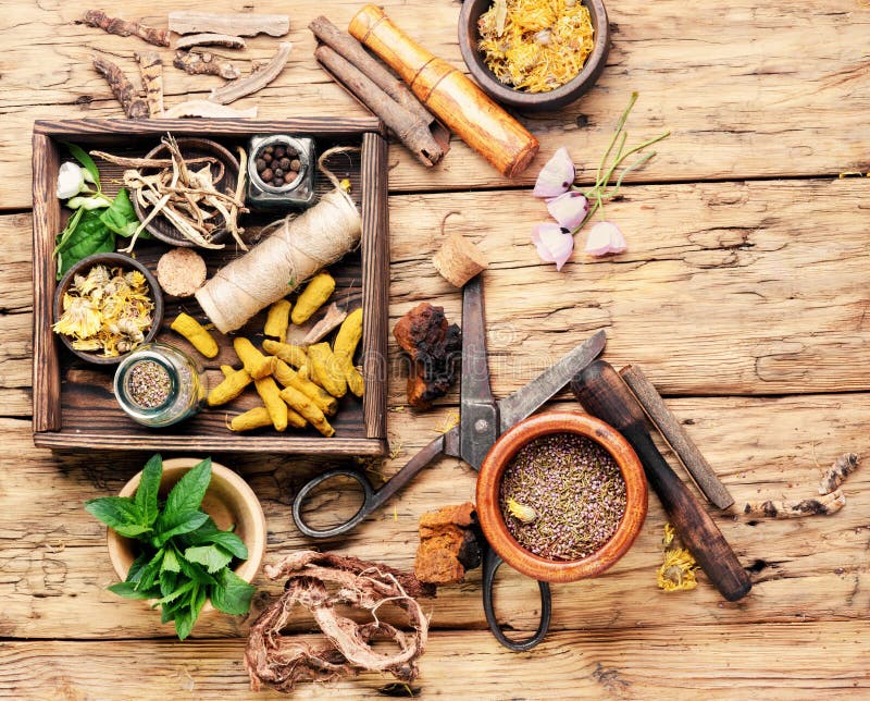 Natural Medicine, Herbs and Plant Stock Photo - Image of marigold ...