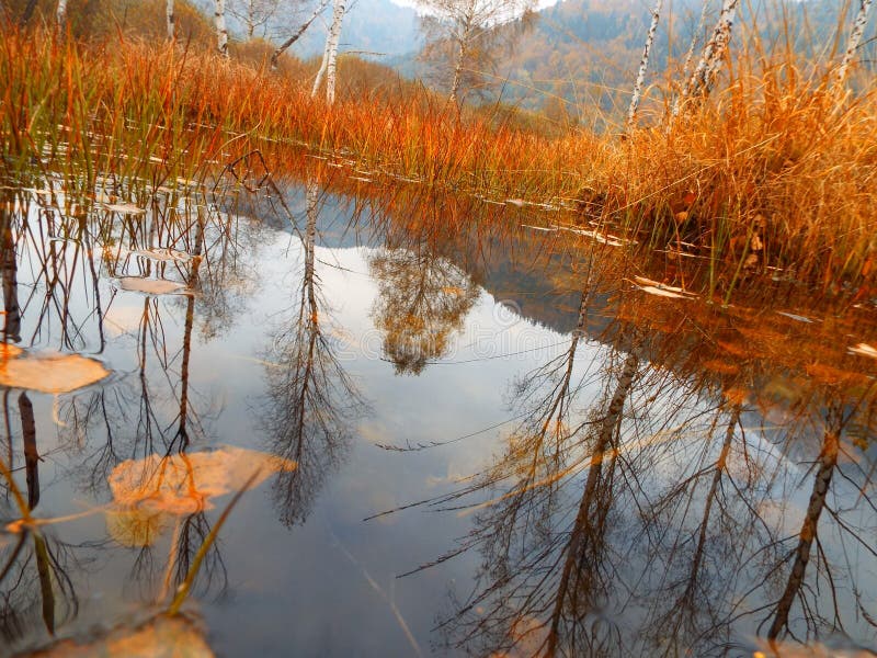 Natural mirror