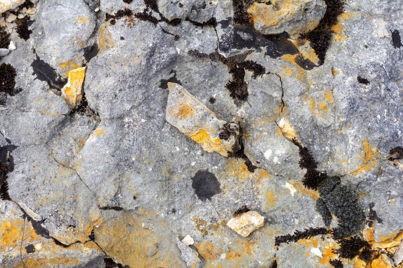 Natural Mountain Stone, Cut Structure, Material for Construction Work