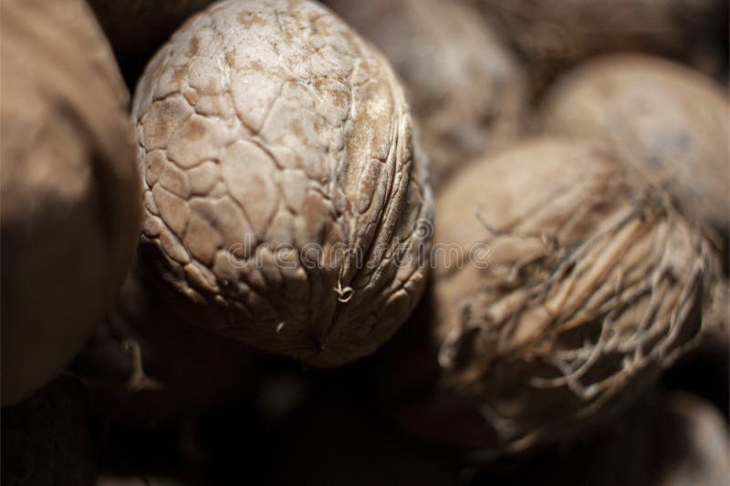 Natural nut. Dark background texture pattern. Abstract walnuts pattern background. Walnuts pattern background. Inshell walnuts. stock photography Natural nut. Dark background texture pattern. Abstract walnuts pattern background. Walnuts pattern background. Inshell walnuts. stock photography