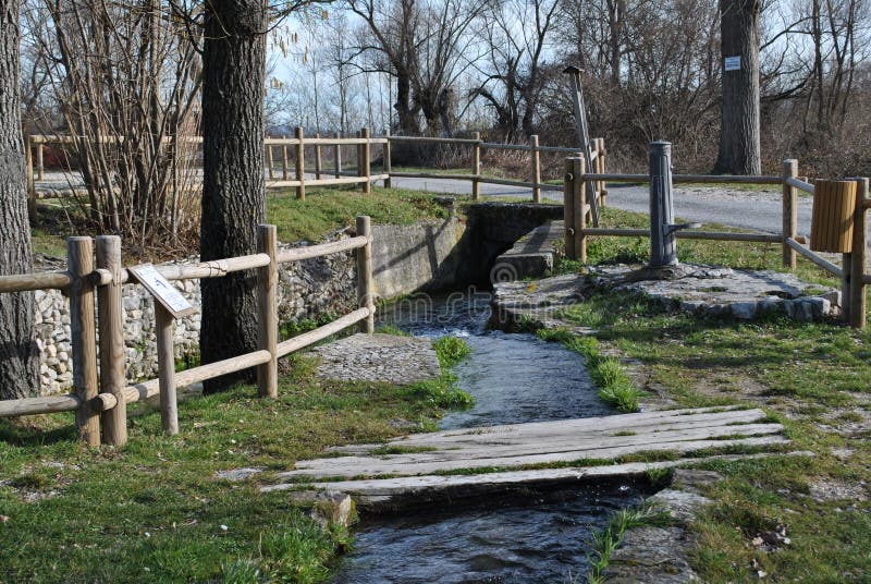 Natural oasis